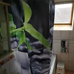 Doppelhaushaelfte Mit Garten Apartment Linz