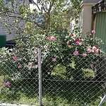 Apartman Doppelhaushaelfte Mit Garten