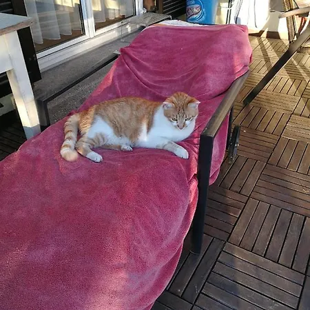 Doppelhaushaelfte Mit Garten 林茨